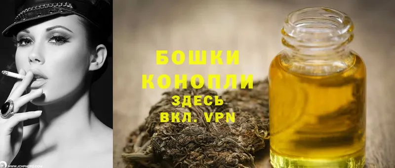 где купить наркоту  Минусинск  сайты даркнета клад  Марихуана SATIVA & INDICA 